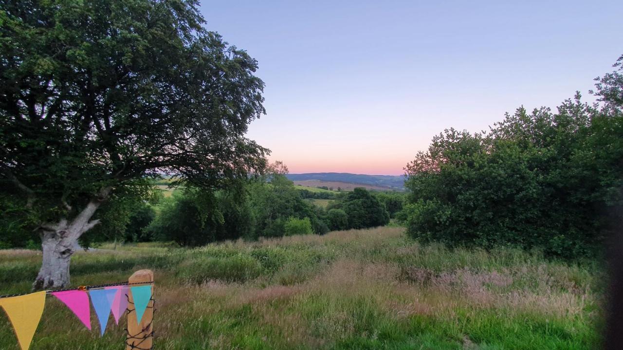 Calon Y Goedwig Glamping Hotel Llandovery Buitenkant foto