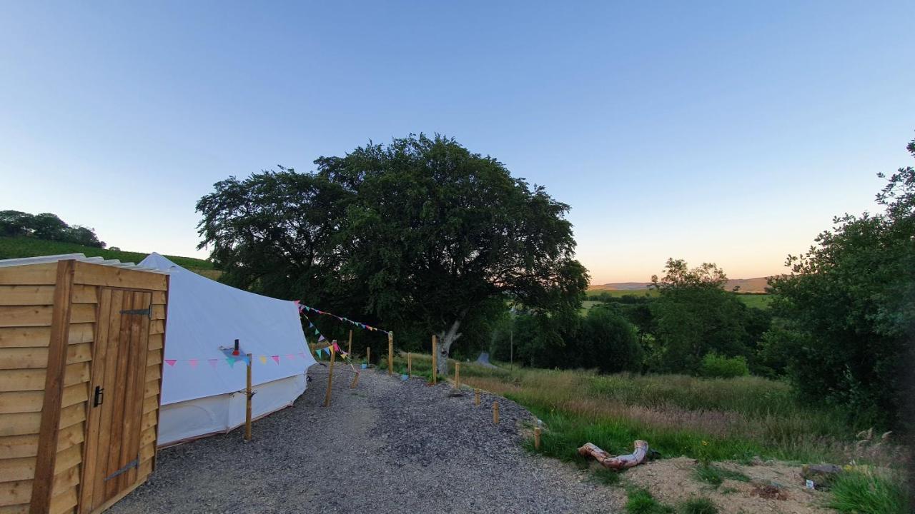 Calon Y Goedwig Glamping Hotel Llandovery Buitenkant foto