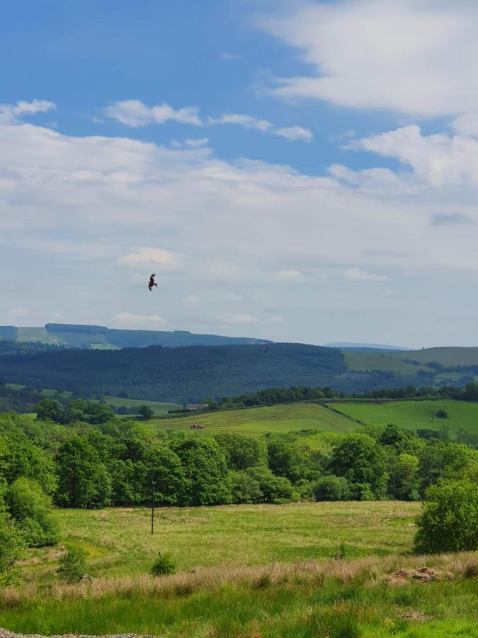 Calon Y Goedwig Glamping Hotel Llandovery Buitenkant foto