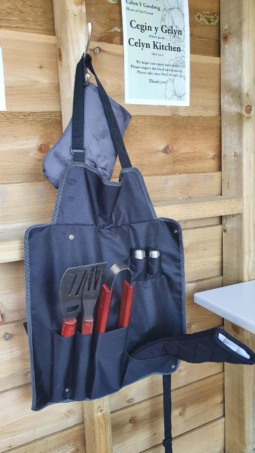 Calon Y Goedwig Glamping Hotel Llandovery Buitenkant foto