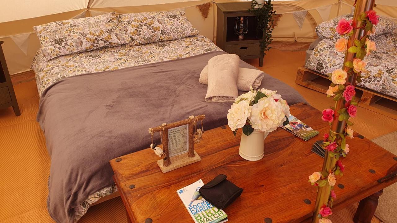 Calon Y Goedwig Glamping Hotel Llandovery Buitenkant foto