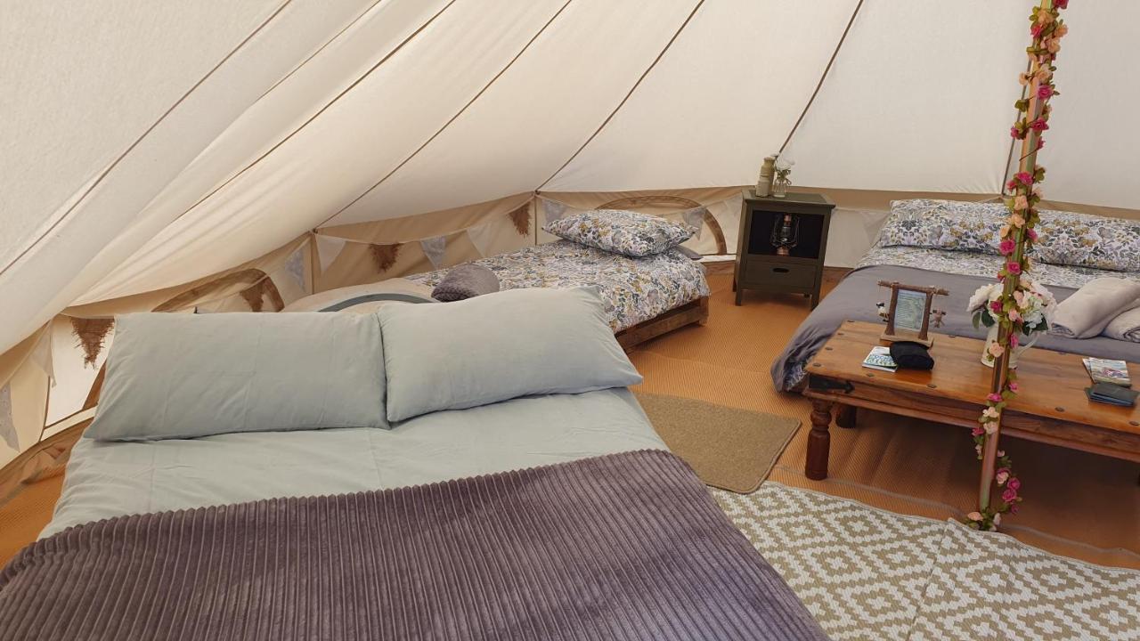 Calon Y Goedwig Glamping Hotel Llandovery Buitenkant foto