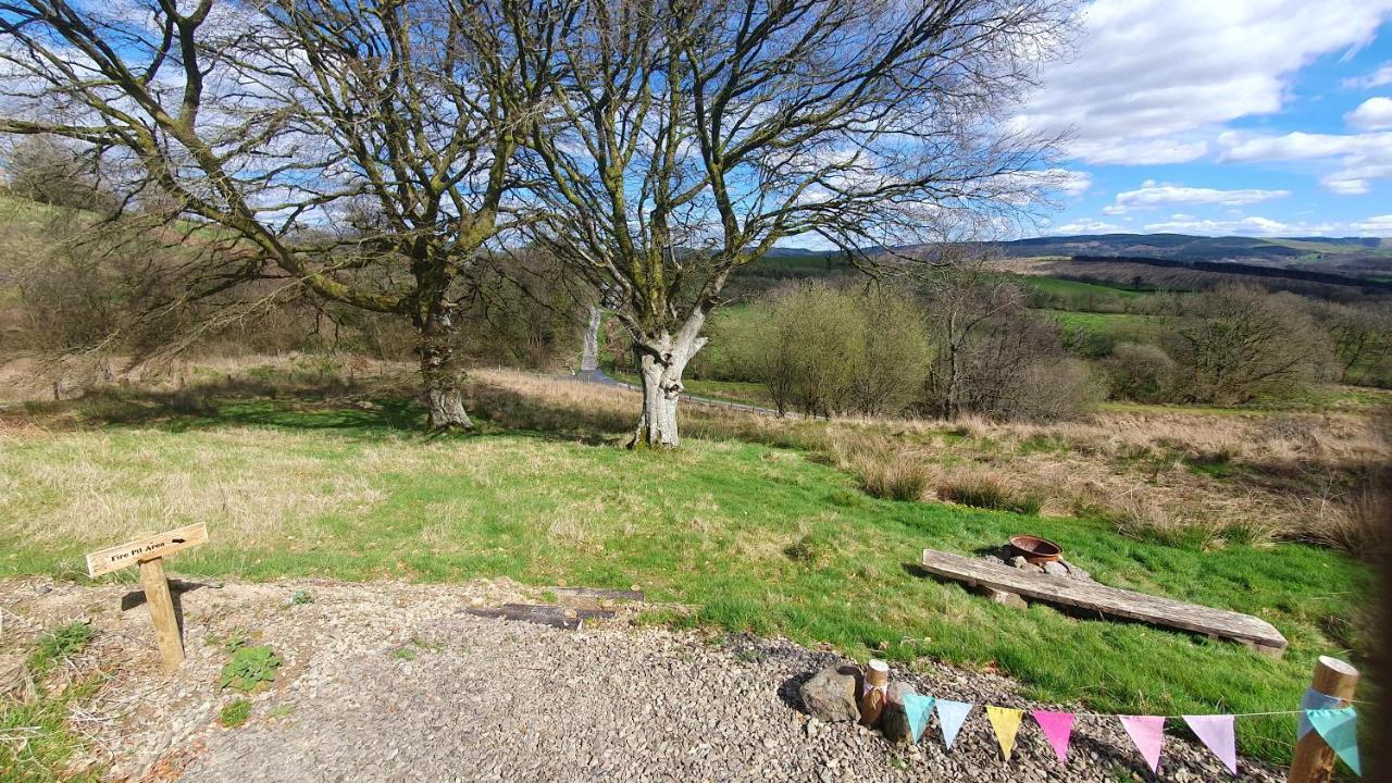 Calon Y Goedwig Glamping Hotel Llandovery Buitenkant foto