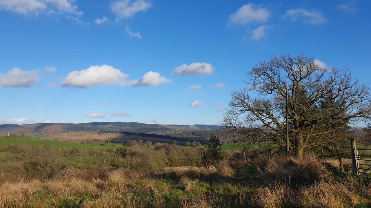 Calon Y Goedwig Glamping Hotel Llandovery Buitenkant foto