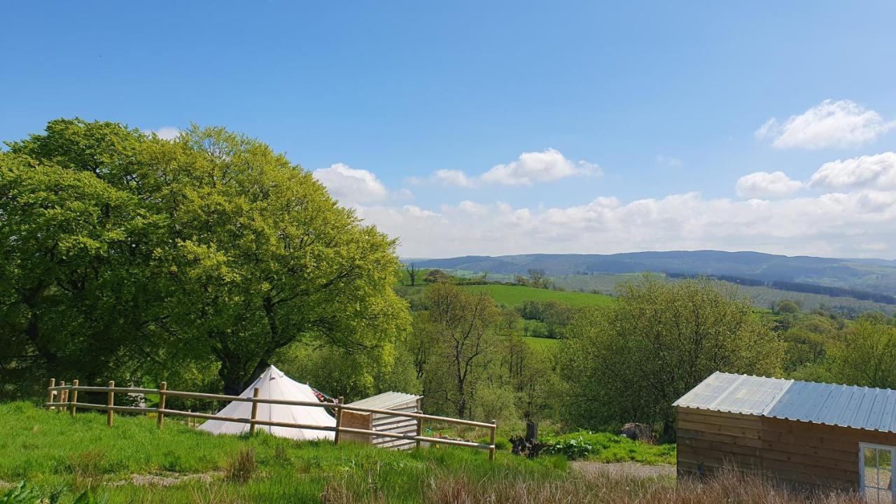 Calon Y Goedwig Glamping Hotel Llandovery Buitenkant foto