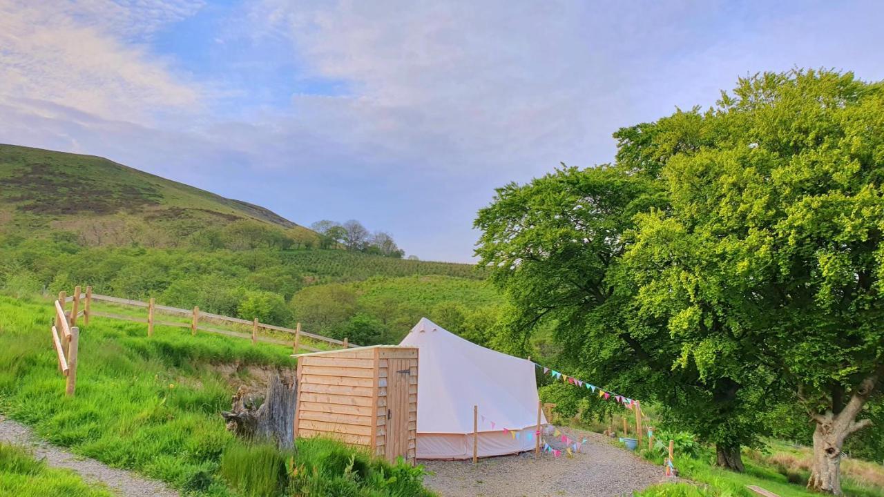 Calon Y Goedwig Glamping Hotel Llandovery Buitenkant foto