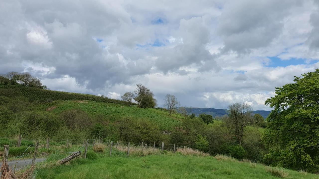 Calon Y Goedwig Glamping Hotel Llandovery Buitenkant foto