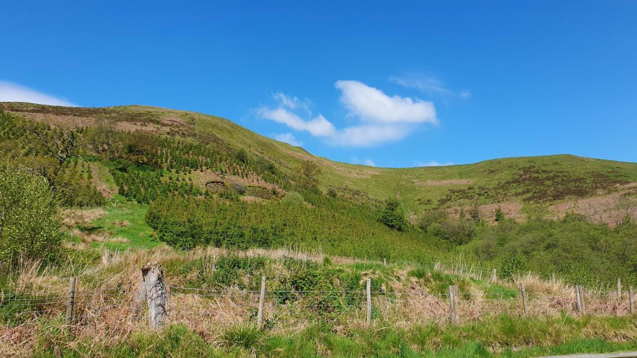 Calon Y Goedwig Glamping Hotel Llandovery Buitenkant foto