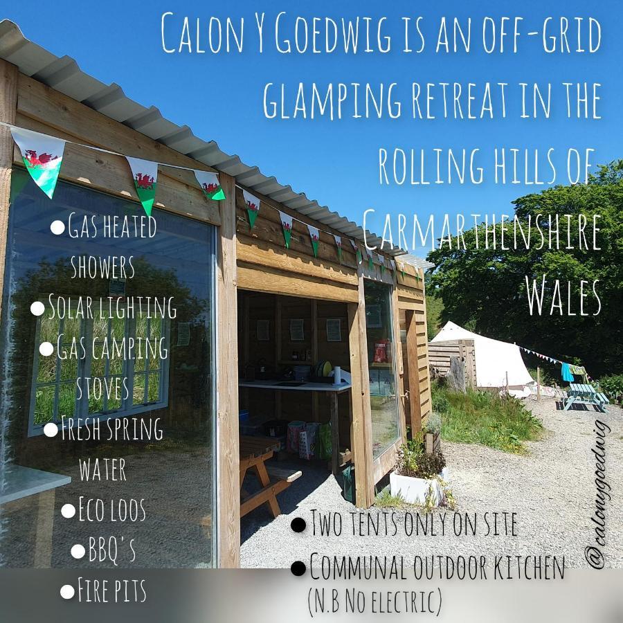 Calon Y Goedwig Glamping Hotel Llandovery Buitenkant foto