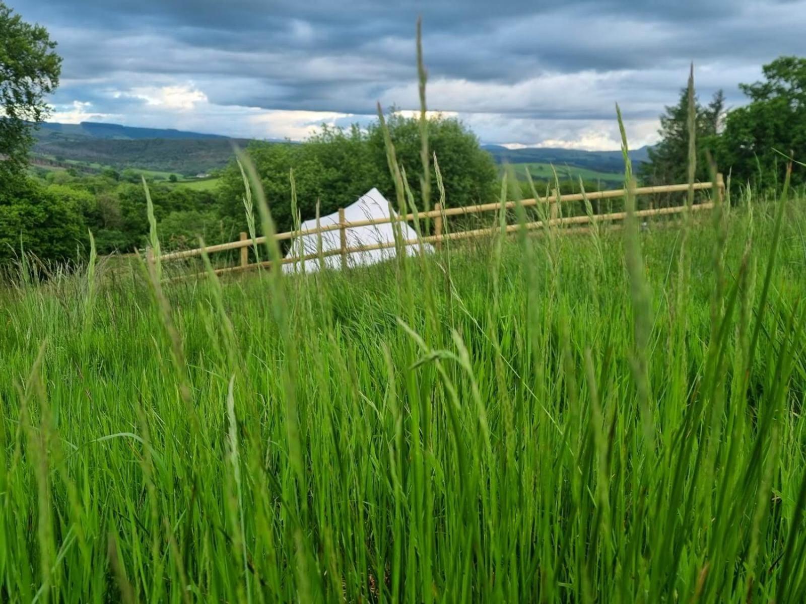 Calon Y Goedwig Glamping Hotel Llandovery Buitenkant foto